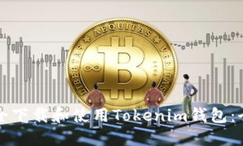 如何安全下载和使用Tokenim钱包:全面指南