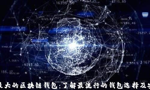 全球最大的区块链钱包:了解最流行的钱包选择及安全性