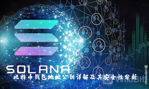 比特币钱包地址公钥详解及其安全性分析