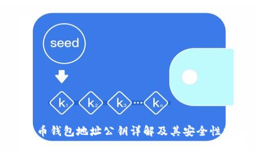 比特币钱包地址公钥详解及其安全性分析