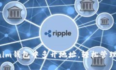  如何在Tokenim钱包中多开地