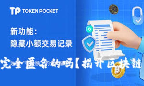 Tokenim是完全匿名的吗？揭开区块链交易的面纱