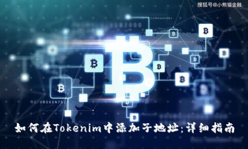 如何在Tokenim中添加子地址：详细指南