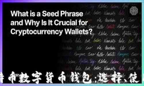 
全面解析比特币数字货币钱包：选择、使用与安全指南