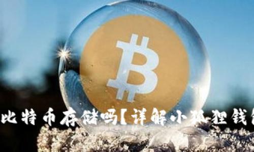  小狐狸钱包支持比特币存储吗？详解小狐狸钱包特点与使用方法