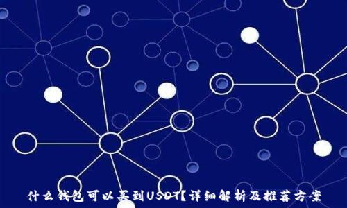   
什么钱包可以买到USDT？详细解析及推荐方案