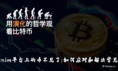 Tokenim平台上的币不见了：