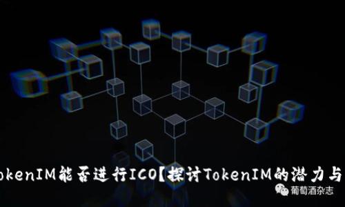 ### TokenIM能否进行ICO？探讨TokenIM的潜力与未来发展