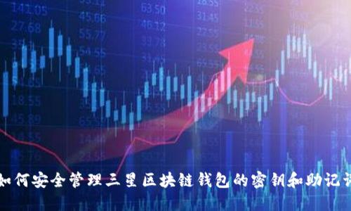 如何安全管理三星区块链钱包的密钥和助记词