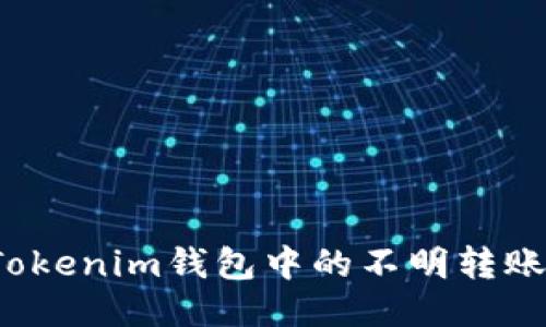 如何处理Tokenim钱包中的不明转账？全面指南