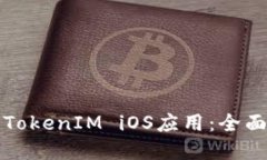 如何在中国使用TokenIM iO