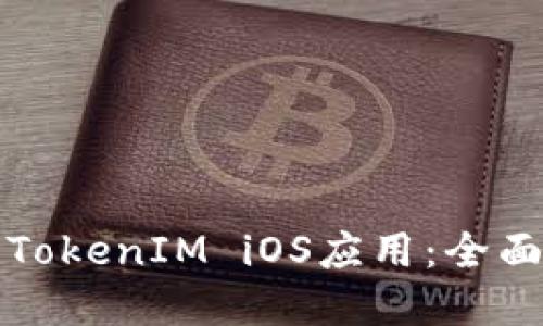 如何在中国使用TokenIM iOS应用：全面指南与实用技巧