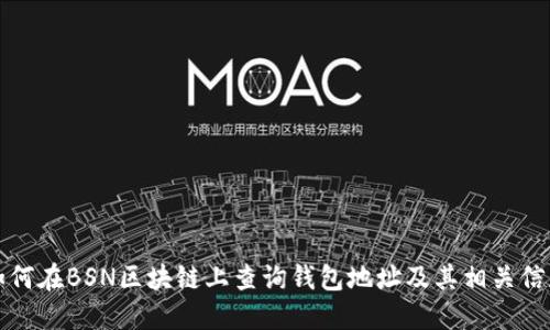 如何在BSN区块链上查询钱包地址及其相关信息