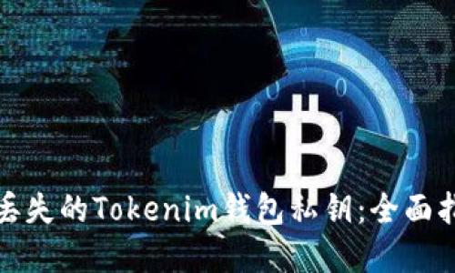 如何安全找回丢失的Tokenim钱包私钥：全面指导与解决方案