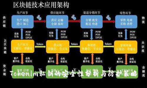 Tokenim私钥的安全性分析与防护策略