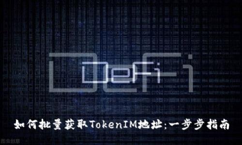 如何批量获取TokenIM地址：一步步指南