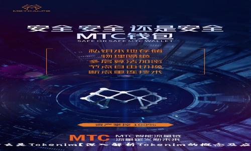 什么是Tokenim？深入解析Tokenim的概念及应用