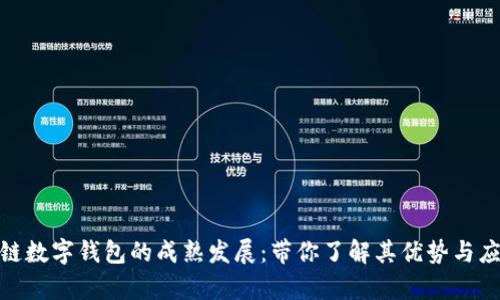 : 区块链数字钱包的成熟发展：带你了解其优势与应用前景