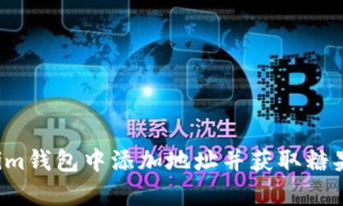 如何在Tokenim钱包中添加地址并获取糖果：真相与攻略
