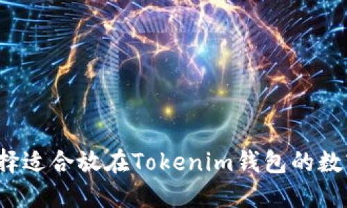 如何选择适合放在Tokenim钱包的数字货币？
