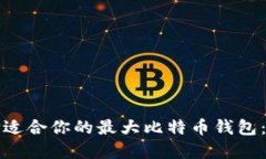 如何选择适合你的最大比