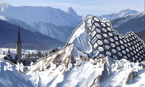 全面解析比特币钱包API：功能、使用和实践指南