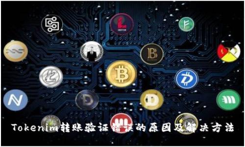 Tokenim转账验证错误的原因及解决方法