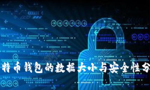 比特币钱包的数据大小与安全性分析