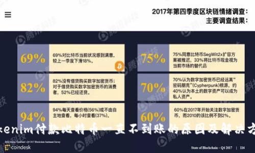 Tokenim付款比特币一直不到账的原因及解决方案