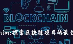 Tokenim：探索区块链项目的