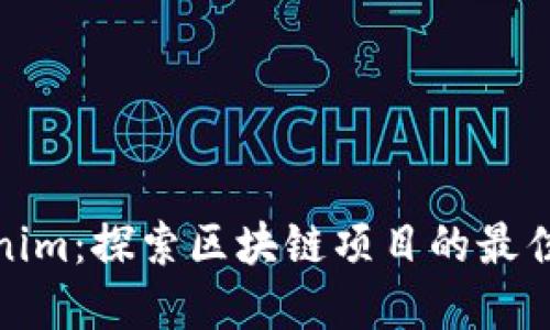 Tokenim：探索区块链项目的最佳选择