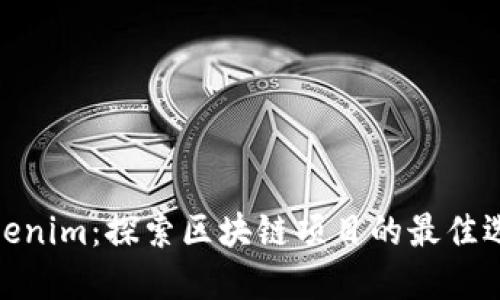 Tokenim：探索区块链项目的最佳选择