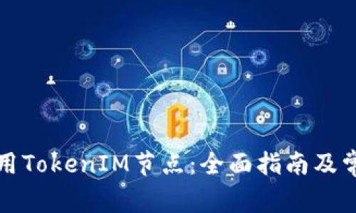 如何有效调用TokenIM节点：全面指南及常见问题解答